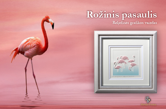 Reljefines Grafikos Naujiena "Rožinis pasaulis"